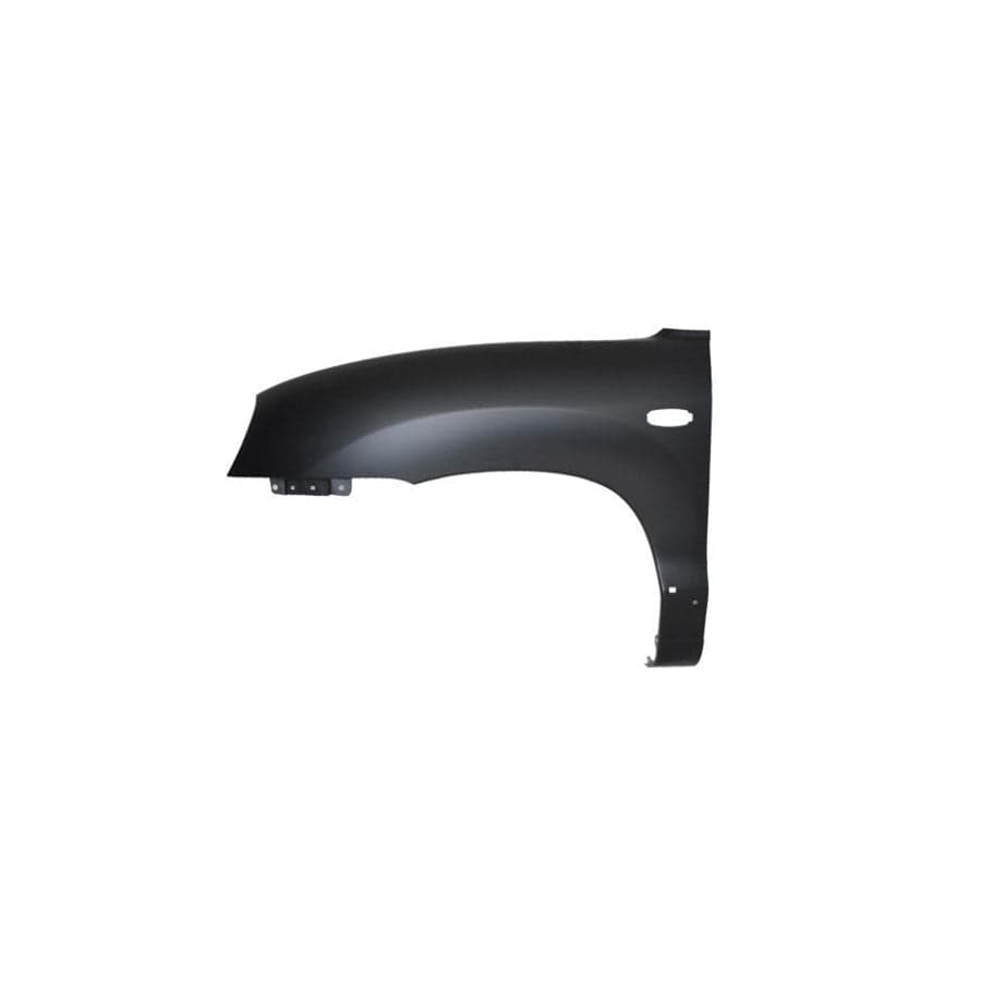 Abakus 01930212 Wing Fender for Hyundai Santa Fe I (Sm)