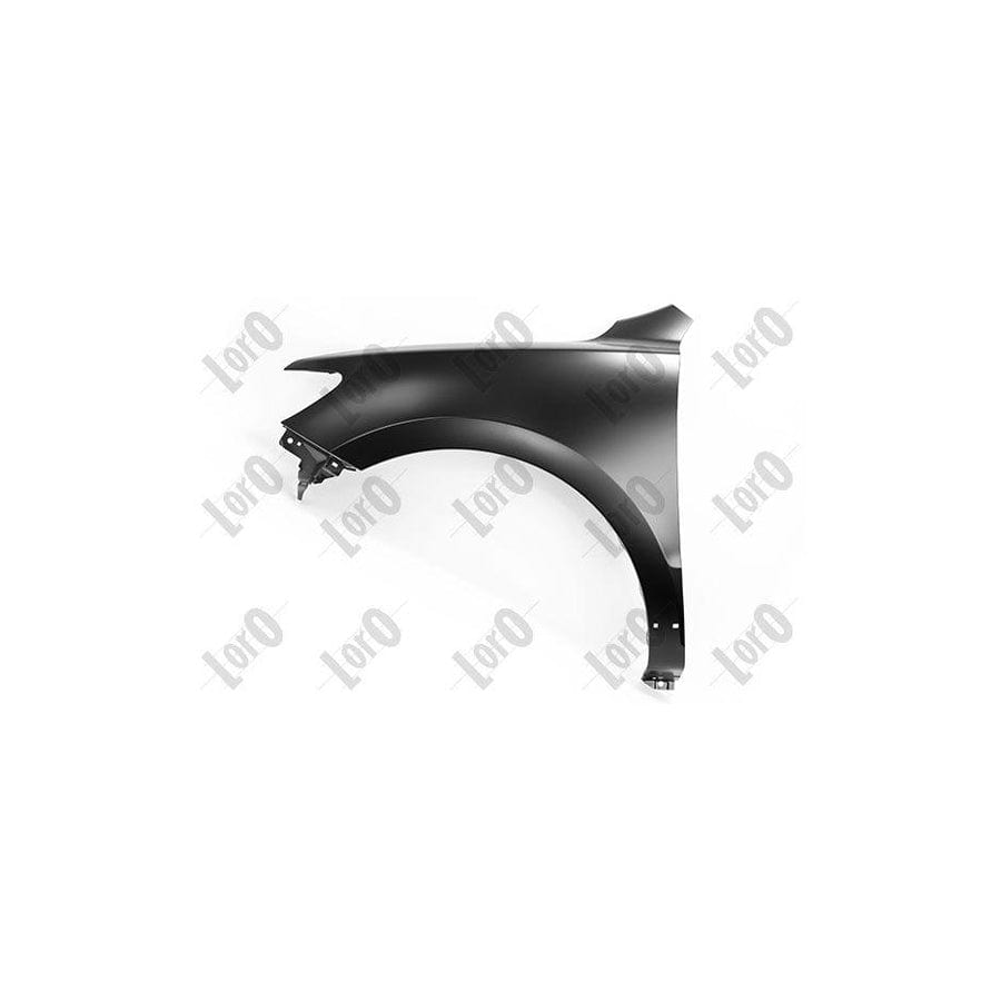 Abakus 01932201 Wing Fender for Hyundai Santa Fe II (CM)