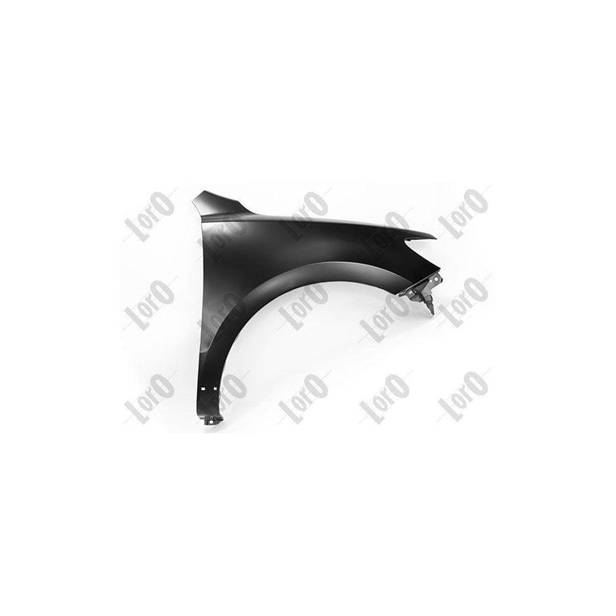 Abakus 01932202 Wing Fender for Hyundai Santa Fe II (CM)