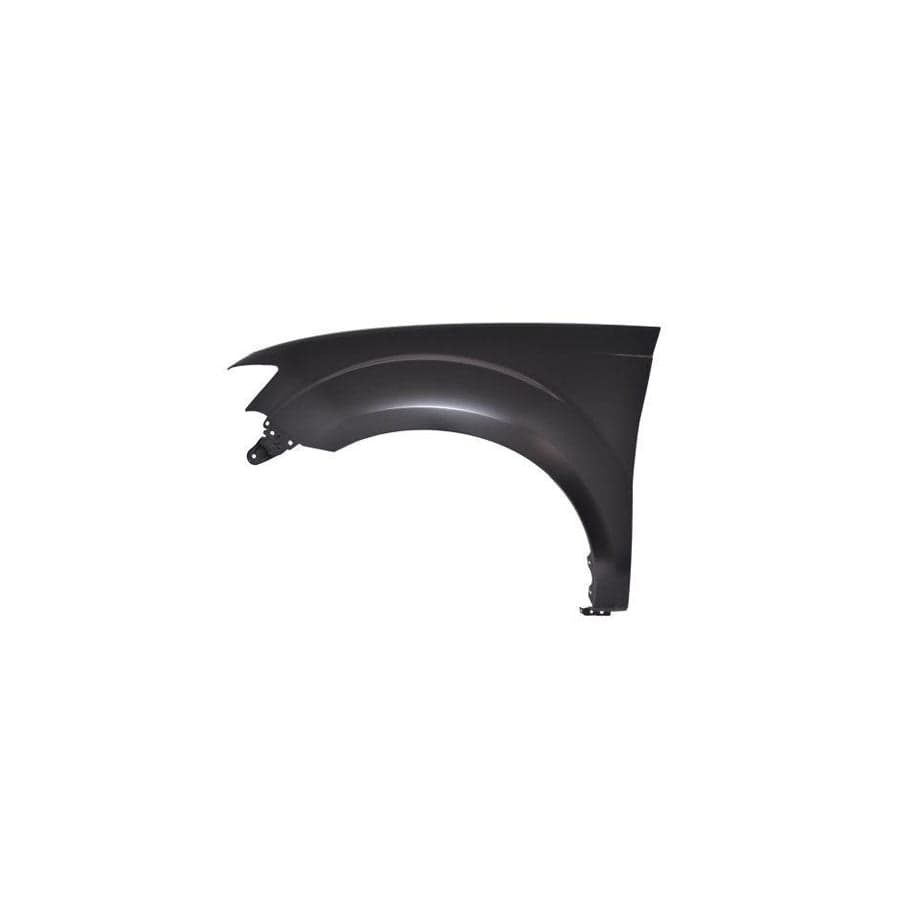 Abakus 03343261 Wing Fender for Mitsubishi Outlander II Off-Road (Cw_W)