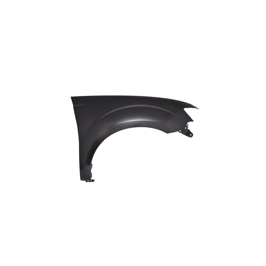 Abakus 03343262 Wing Fender for Mitsubishi Outlander II Off-Road (Cw_W)