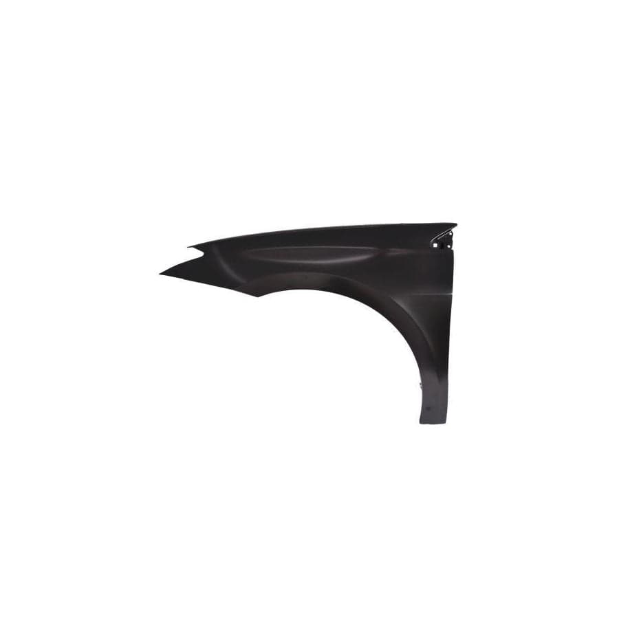 Abakus 04223201 Wing Fender for Renault Laguna