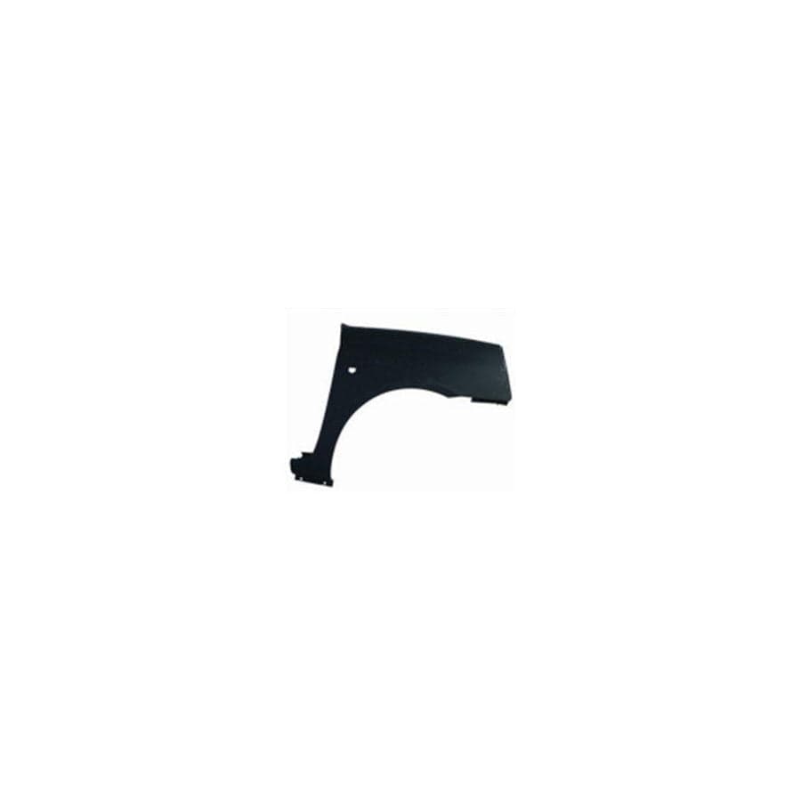 Abakus 04232212 Wing Fender for Renault Clio