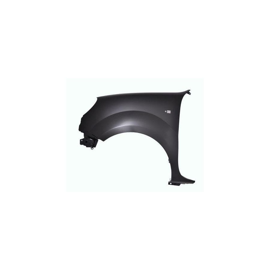 Abakus 04239211 Wing Fender for Renault Kangoo