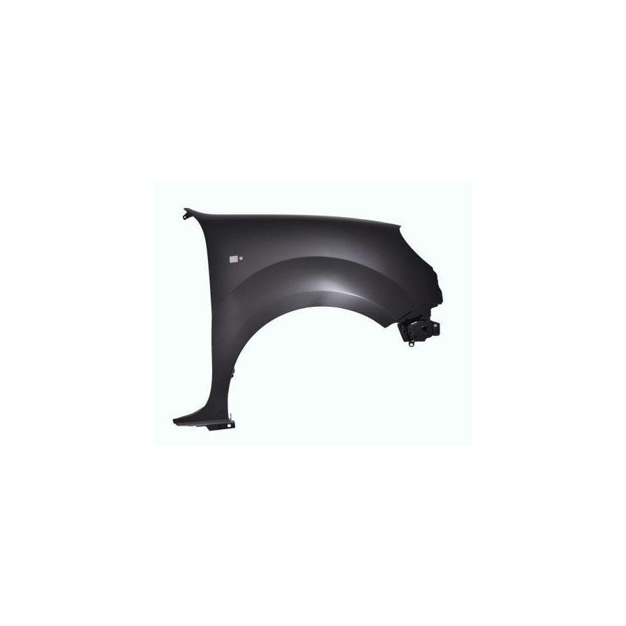Abakus 04239212 Wing Fender for Renault Kangoo