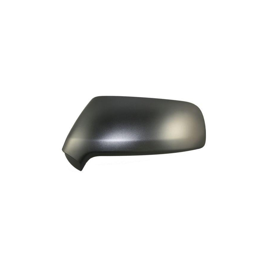 Abakus 0507C03 Cover, Outside Mirror