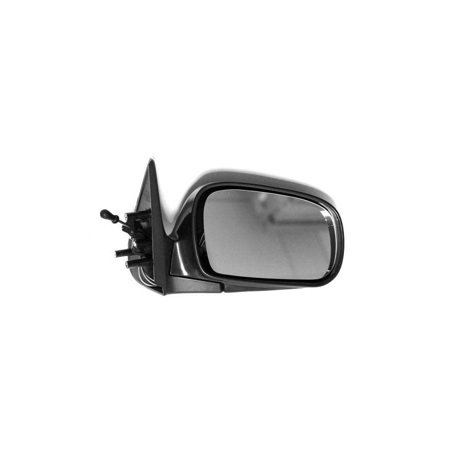 Abakus 0906M02 Wing Mirror for Daewoo Nexia
