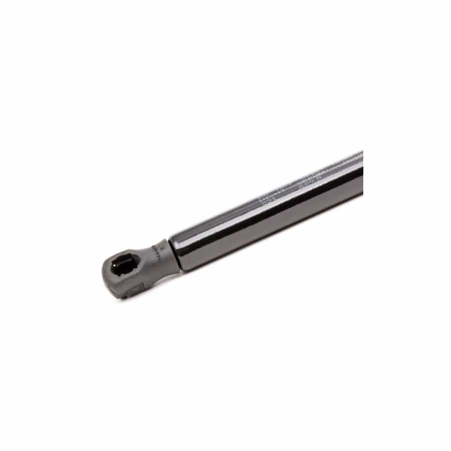 Abakus 10100031 Tailgate Strut