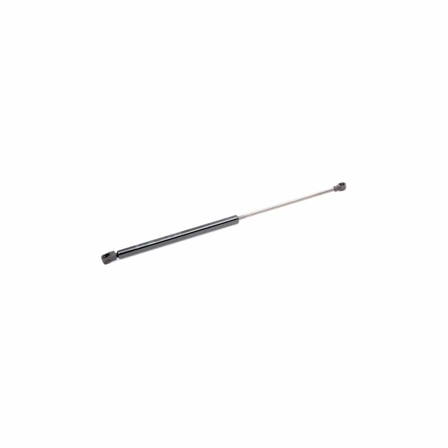 Abakus 10100198 Tailgate Strut for Seat Leon II Hatchback (1P1)