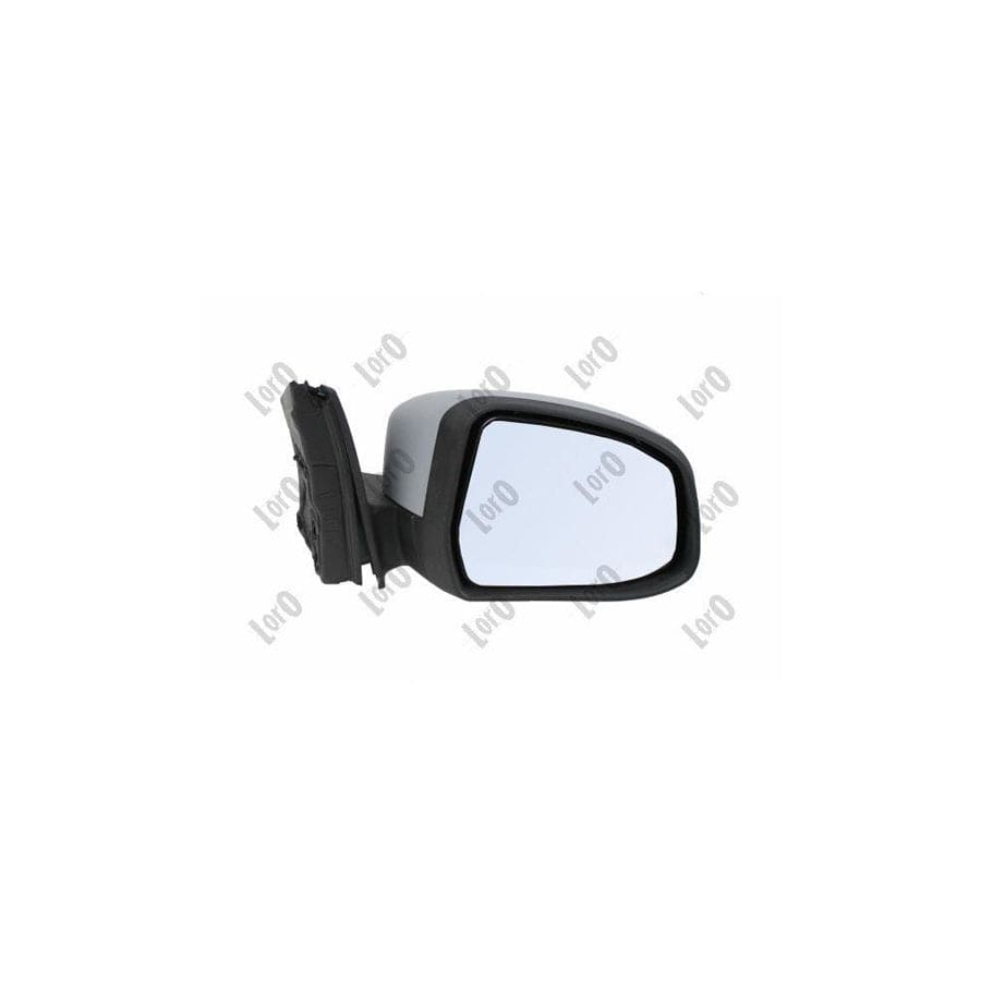 Abakus 1247M02 Wing Mirror for Ford Focus