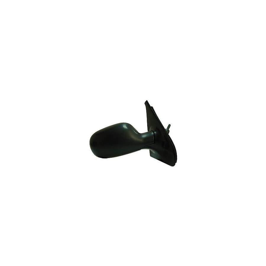 Abakus 3112M01 Wing Mirror for Renault Clio