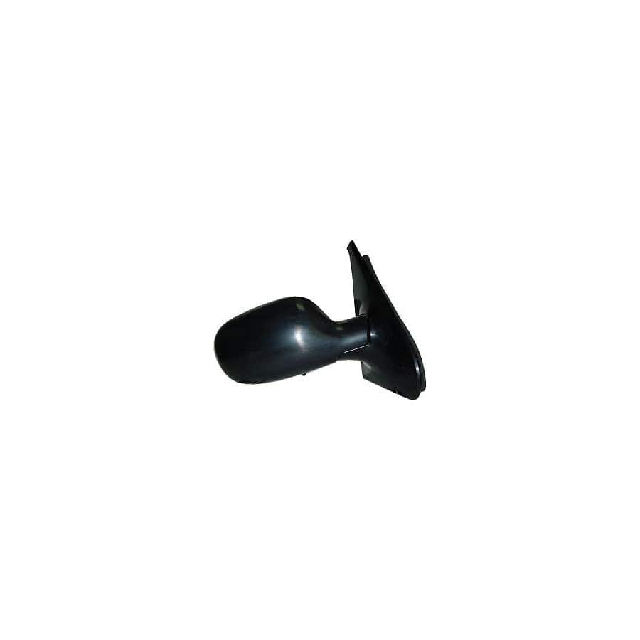 Abakus 3112M06 Wing Mirror for Renault Clio