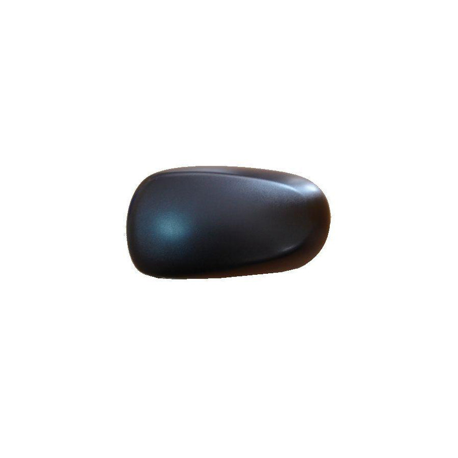 Abakus 3135C02 Cover, Outside Mirror for Renault Modus / Grand Modus (F, Jp)