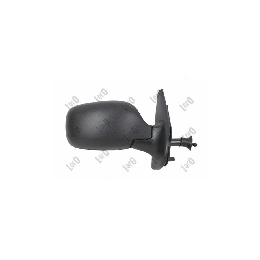 Abakus 3149M02 Wing Mirror for Renault Kangoo