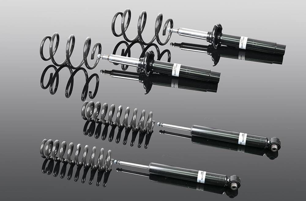 AC Schnitzer Sports Suspension Kit