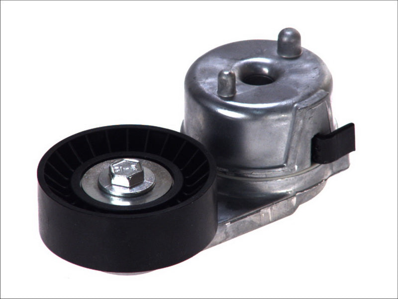 DAYCO DAYAPV2488 V-Ribbed Belt Tensioner Lever