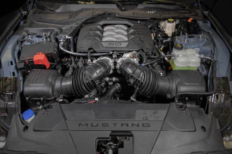 K&N Engineering K&N 2024 Ford Mustang Catch Can / Oil Separator