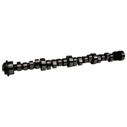 Comp Cams Camshaft, Xr 290Hr-10