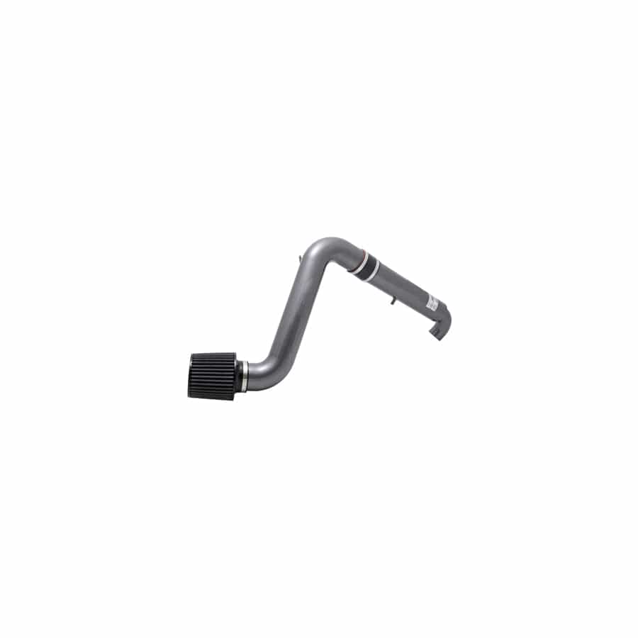 AEM 24-6013C Dual Chamber Intake System