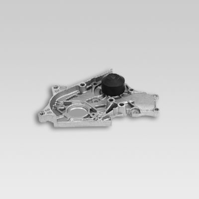 HEPU P726 Water Pump