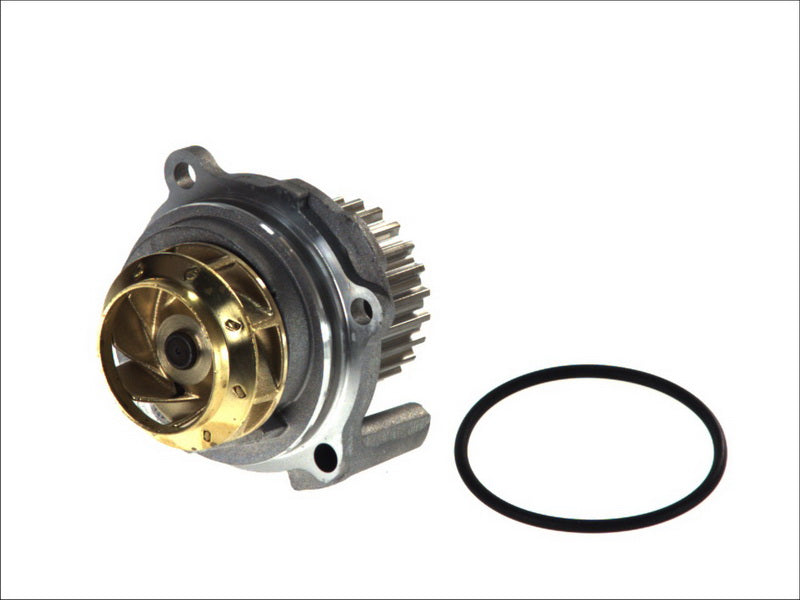 HEPU P545 Water Pump