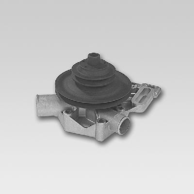 HEPU P830 Water Pump