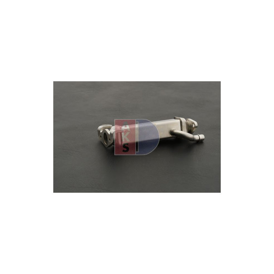 AKS Dasis 123022N Coolant Expansion Tank