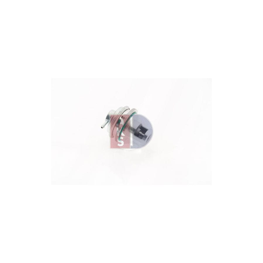 AKS Dasis 125006N Egr Valve