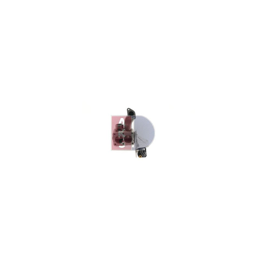 AKS Dasis 265022N Egr Valve
