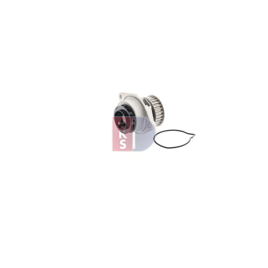 AKS Dasis 570026N Water Pump