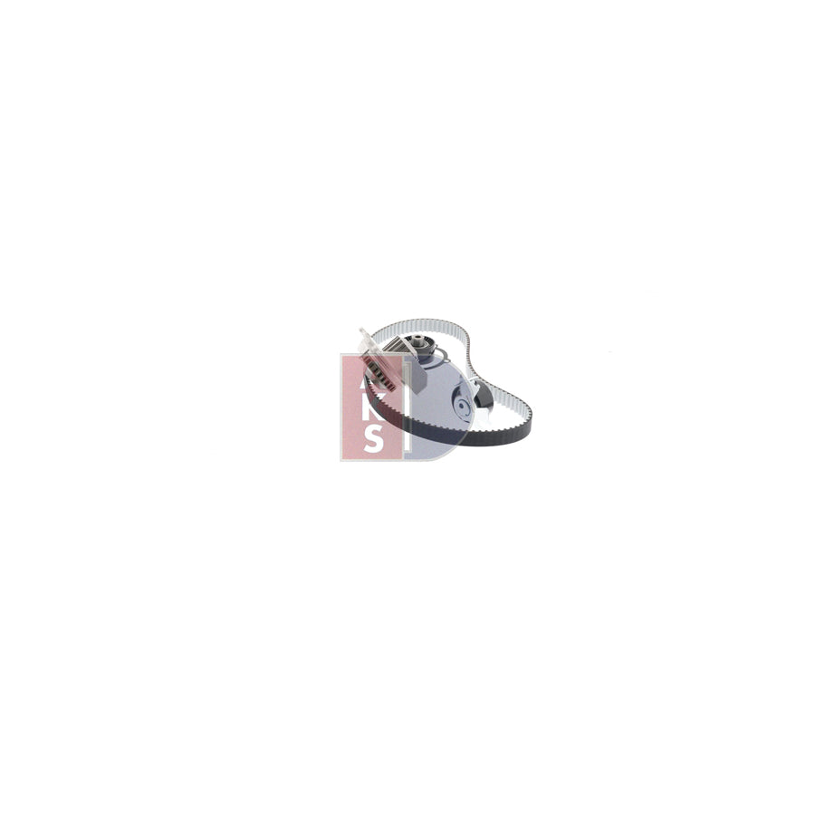 AKS Dasis 570336N Water Pump And Timing Belt Kit