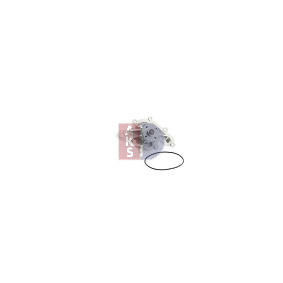 AKS Dasis 570406N Water Pump
