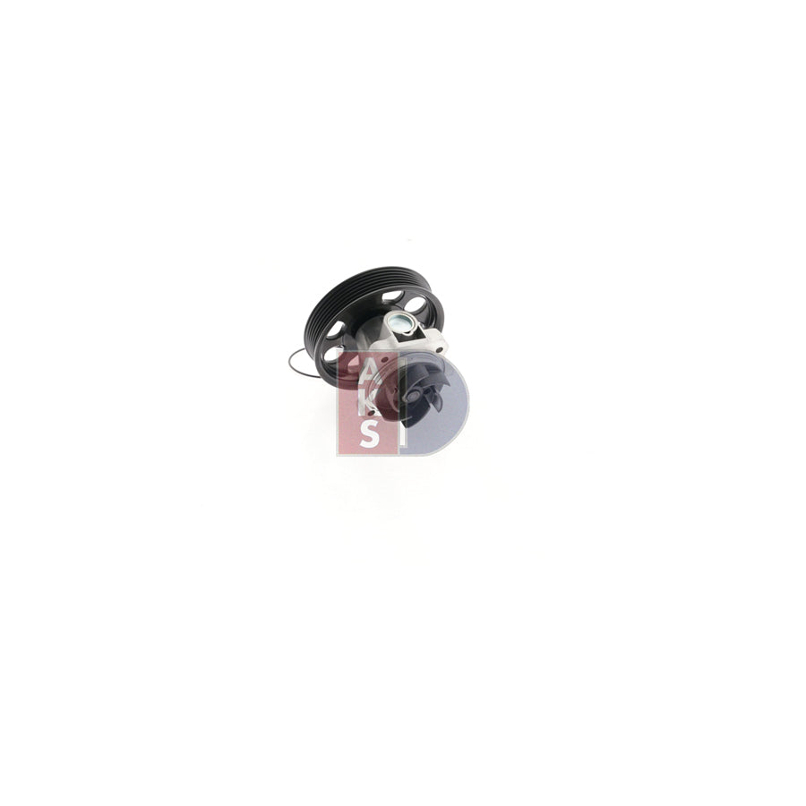 AKS Dasis 570620N Water Pump