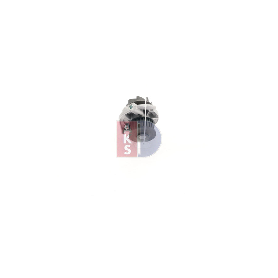 AKS Dasis 570631N Water Pump