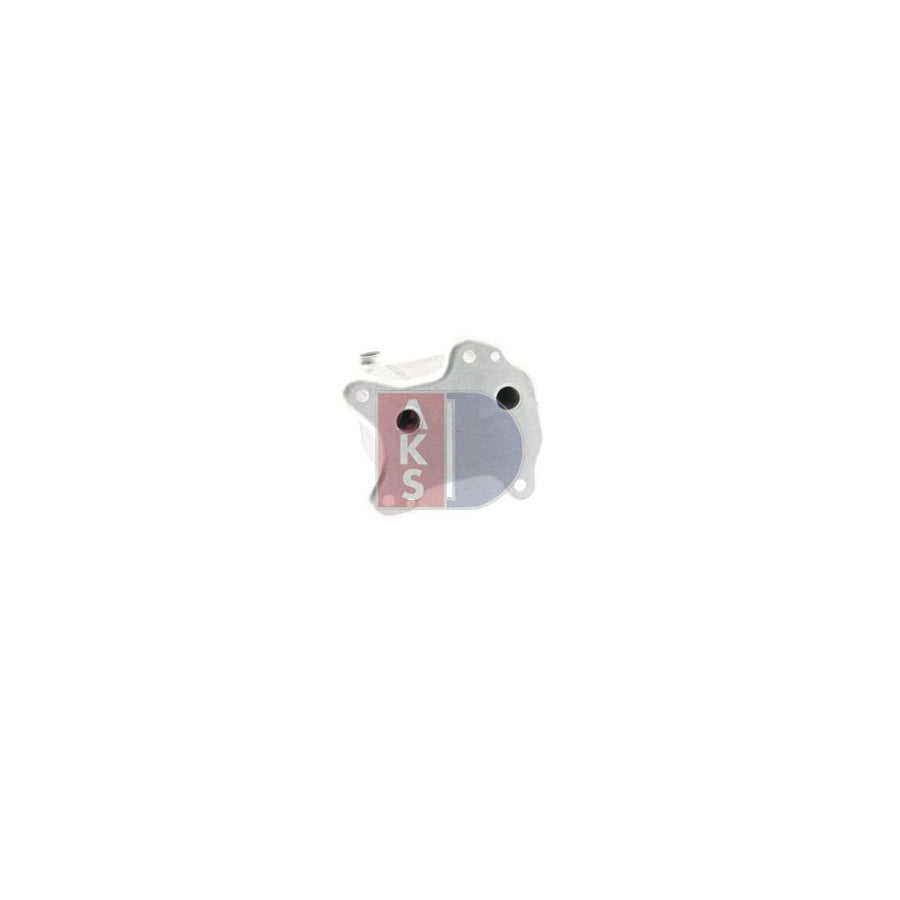 AKS Dasis 800372N Dryer, Air Conditioning