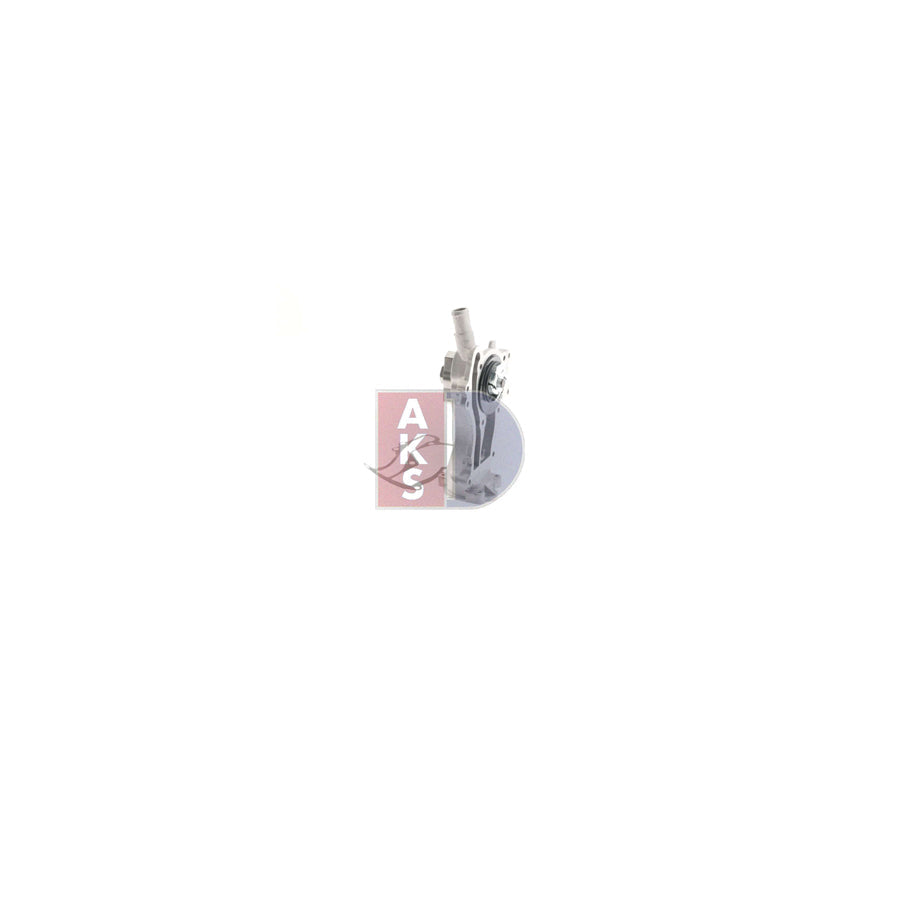 AKS Dasis 830054N Pollen Filter