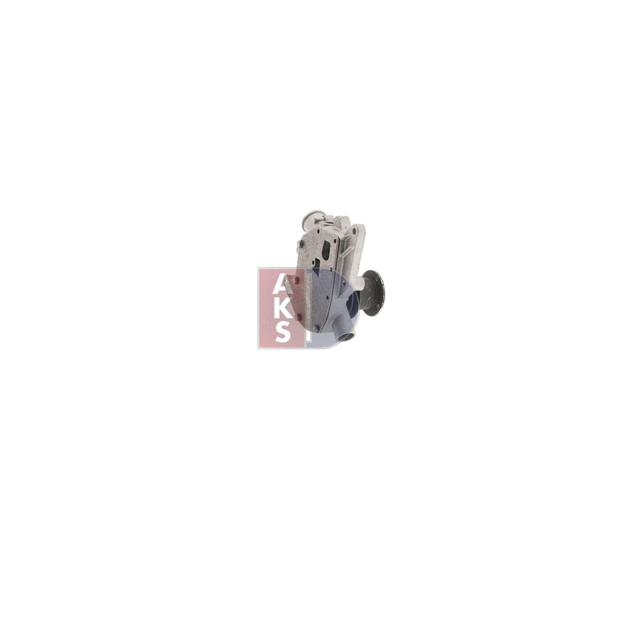 AKS Dasis 830285N Pollen Filter