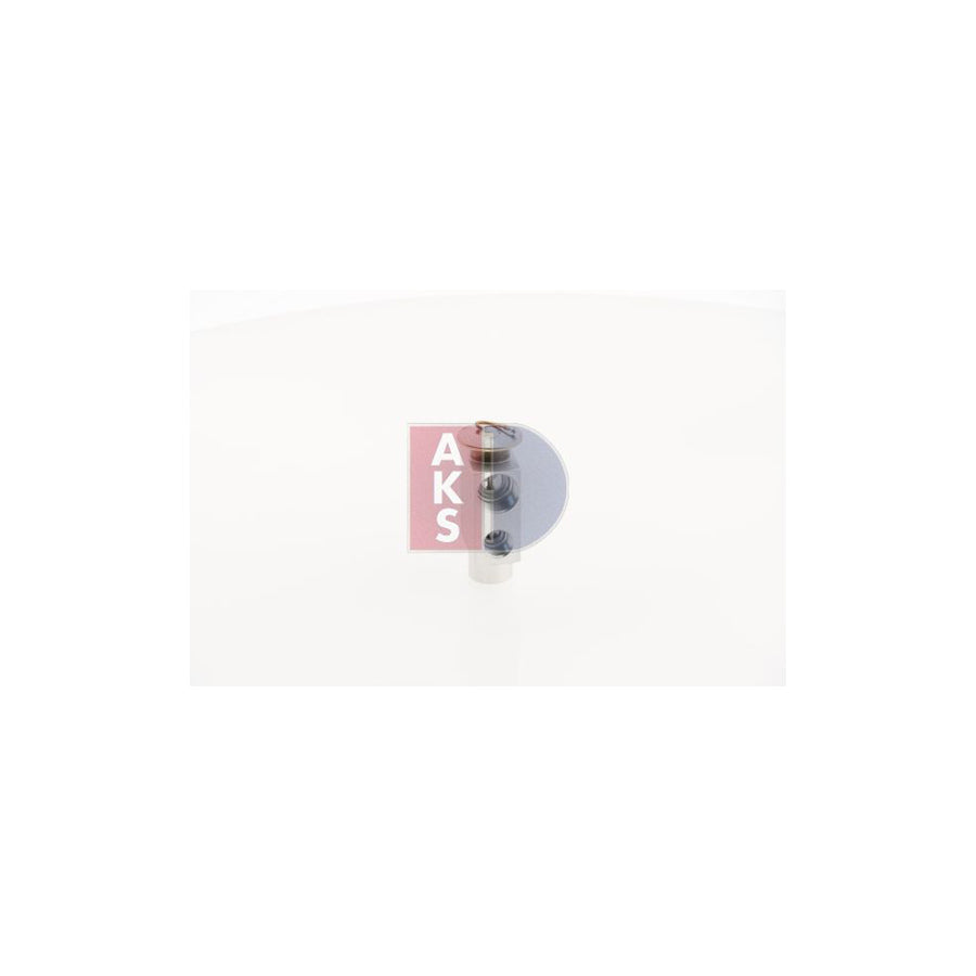 AKS Dasis 840070N AC Expansion Valve