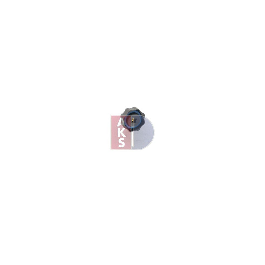 AKS Dasis 851655N Compressor, Air Conditioning