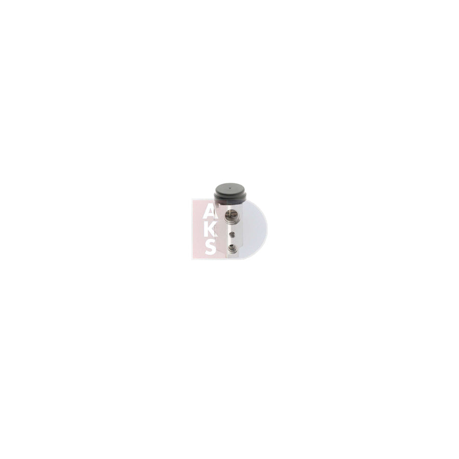 AKS Dasis 880102N Radiator Hose