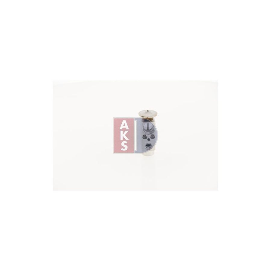 AKS Dasis 881172N Radiator Hose