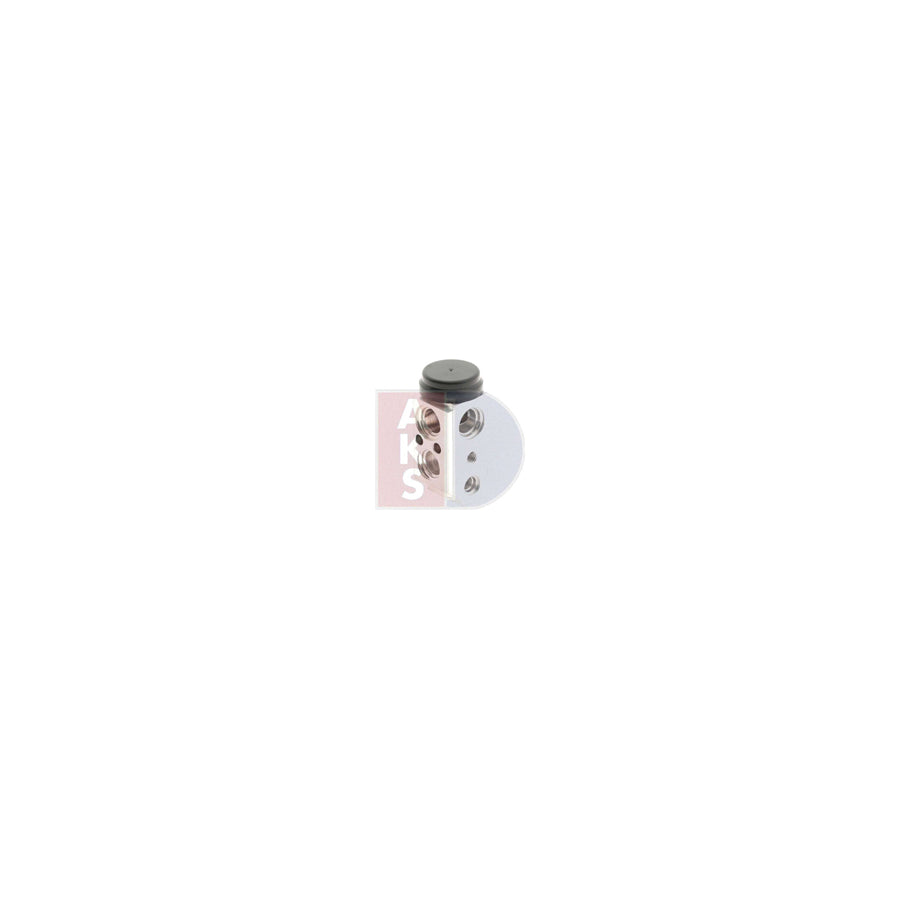AKS Dasis 881198N Radiator Hose