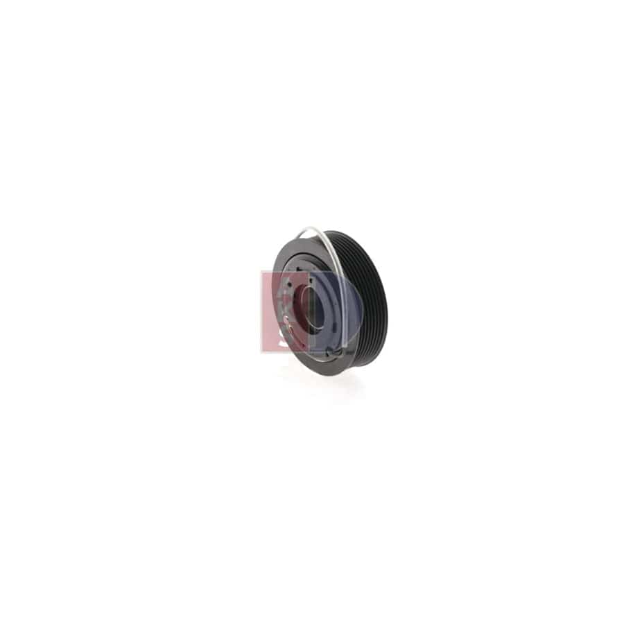 AKS Dasis 900333N Seal Ring