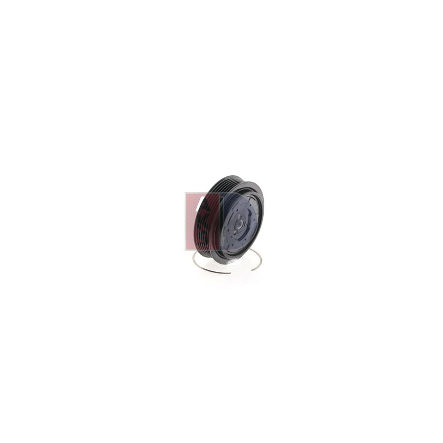 AKS Dasis 900346N Seal Ring