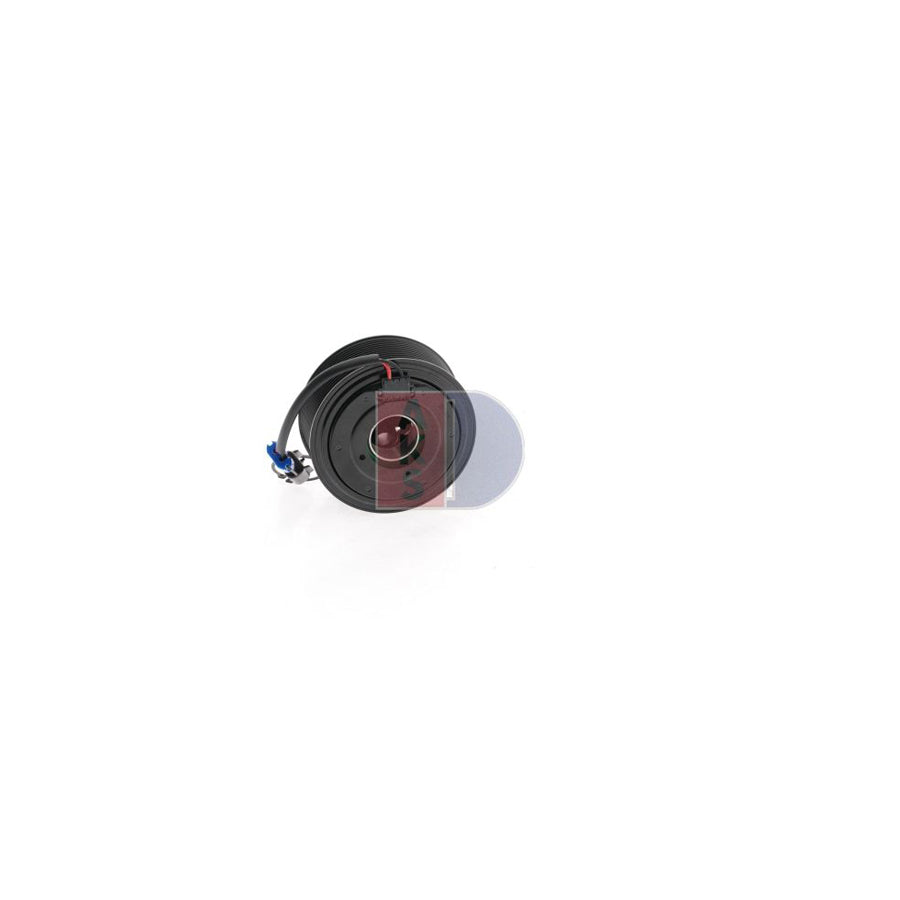 AKS Dasis 900381N Seal Ring