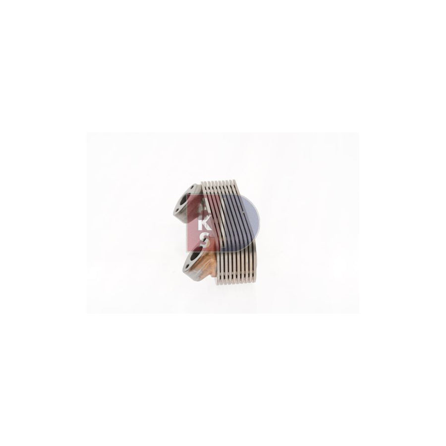 AKS Dasis 930750N Hose Fitting