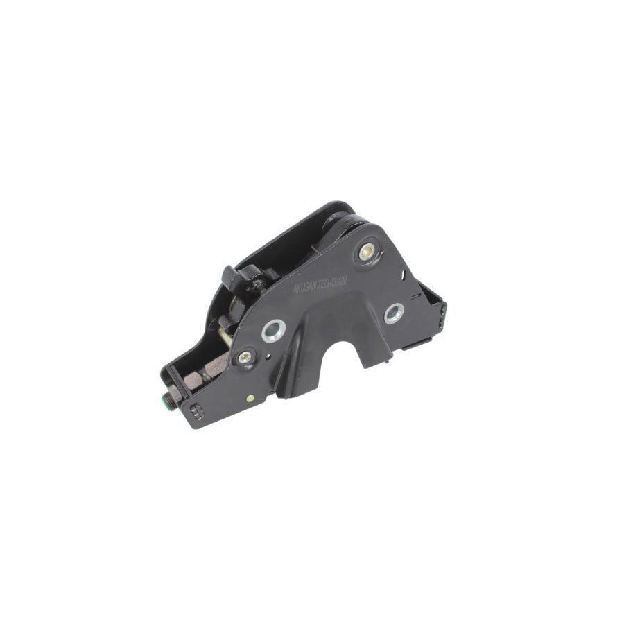 Akusan TEQ03.120 Door Lock