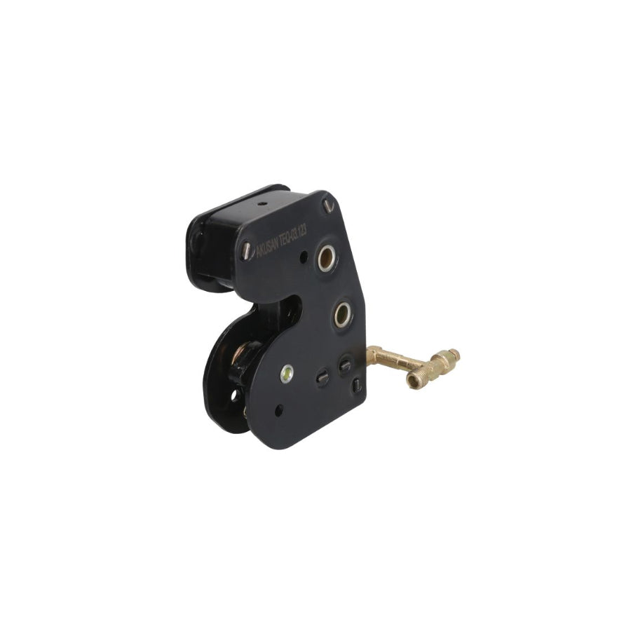Akusan TEQ03.123 Door Lock, Driver Cab