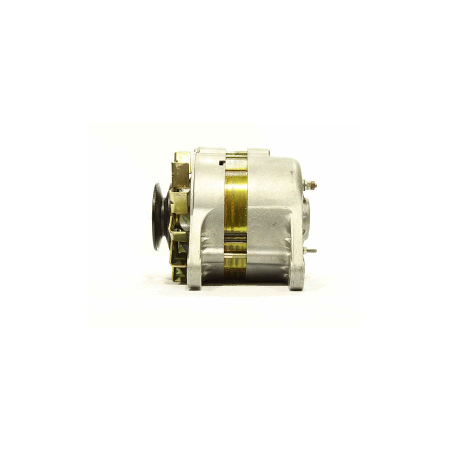 Alanko 10441366 Alternator