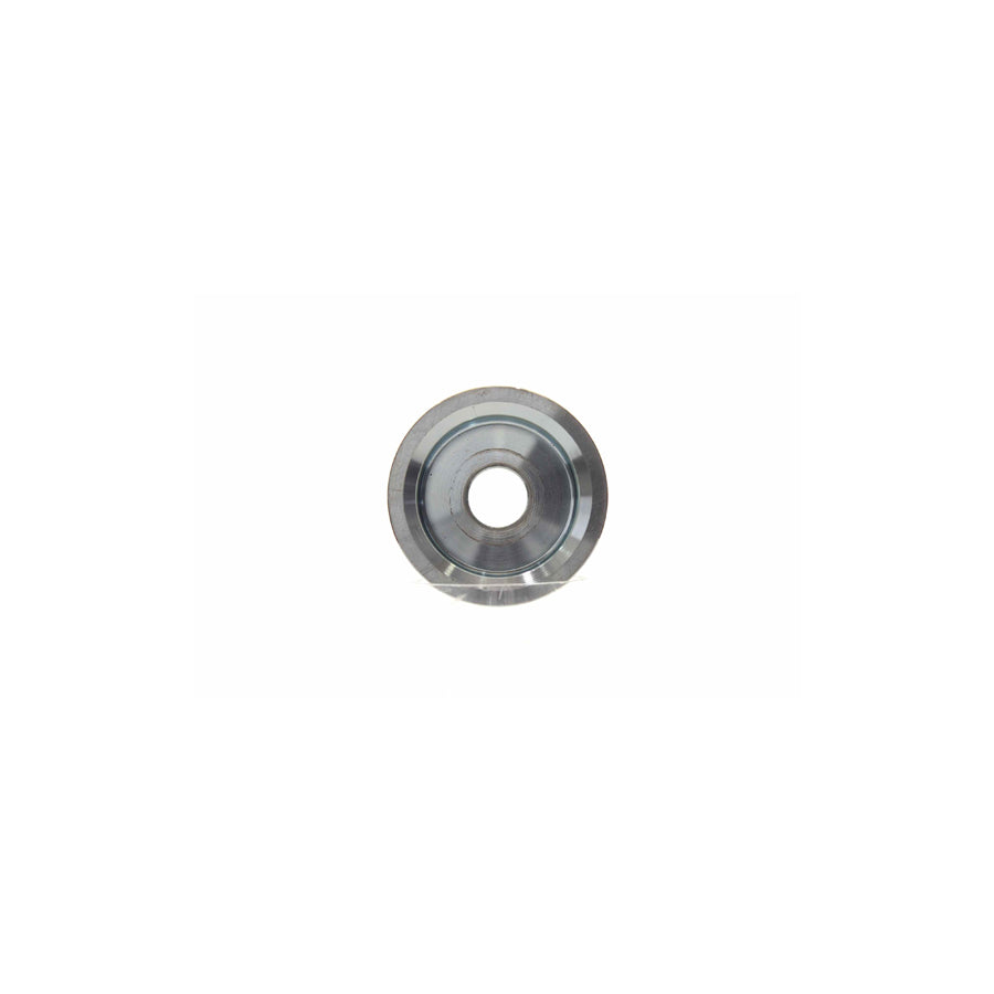 Alanko 10723037 Pulley, Alternator